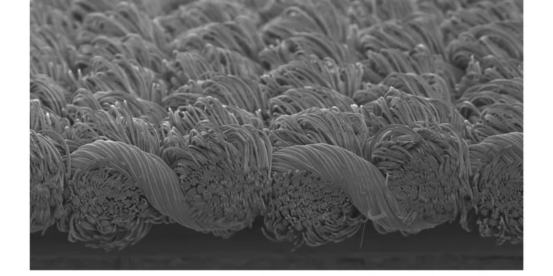 Toray Develops Polyester-Nylon Composite Fibre with at Least 93% Recycled Content